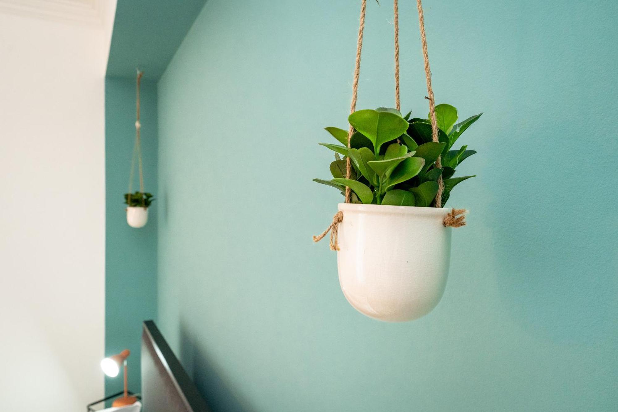Appartamento Bohemien House